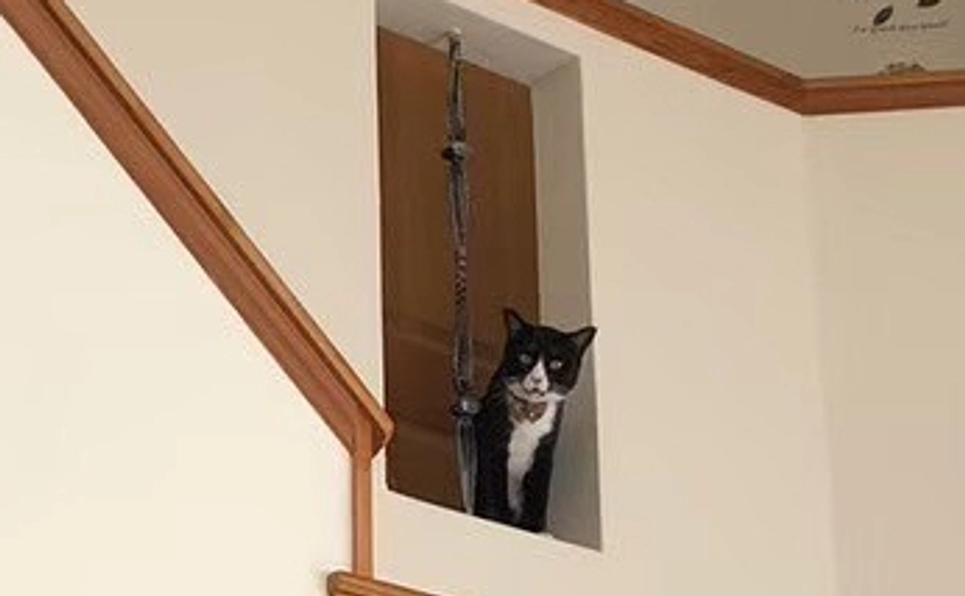 1 とろろ応援 感謝のお手紙 活動報告