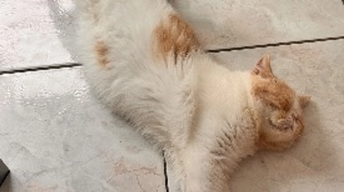 たくさんのご支援ありがとうございます🙇🏻‍♀️՞