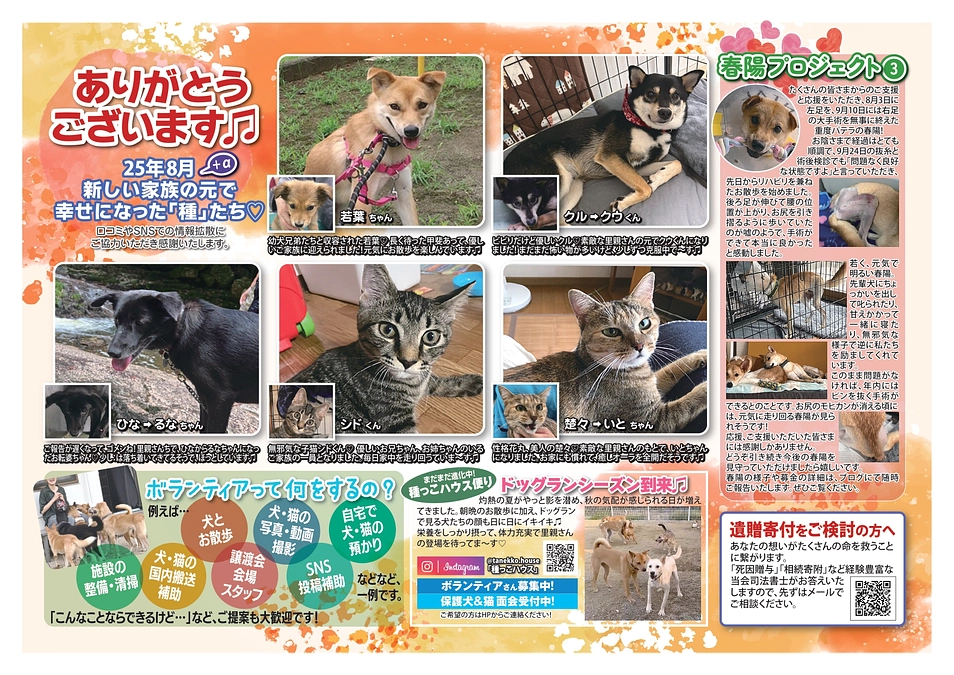 種っこ通信【Newsletter vol.85】近況ご報告♡