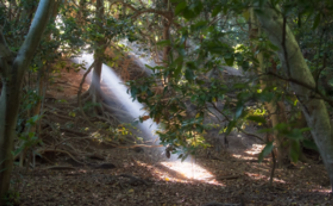 大勢の方による支援がプロジェクト実現の鍵です！