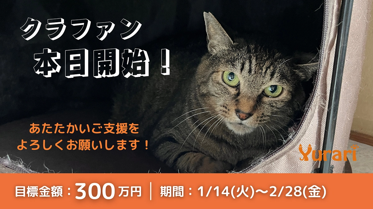 本日プロジェクトが公開されました！