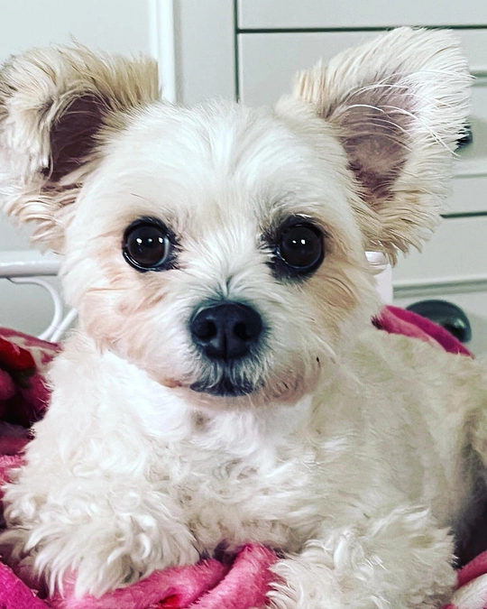 みなさんの優しさが光を与えてくれる