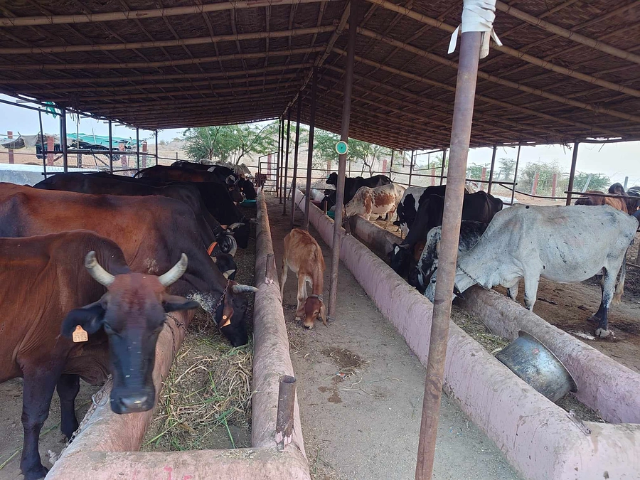 新年おめでとうございます！　