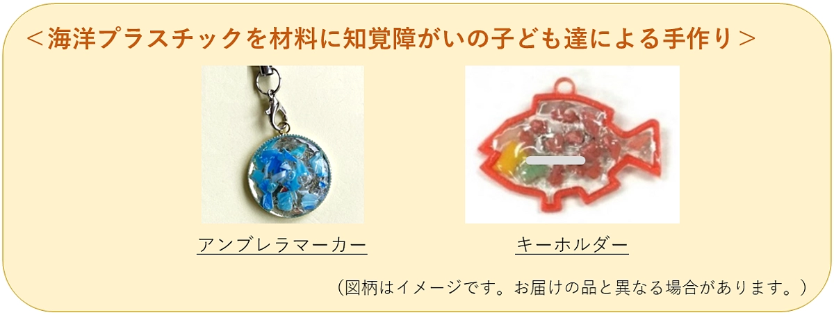 【残り12時間】特別支援学校の子ども達の研究紹介