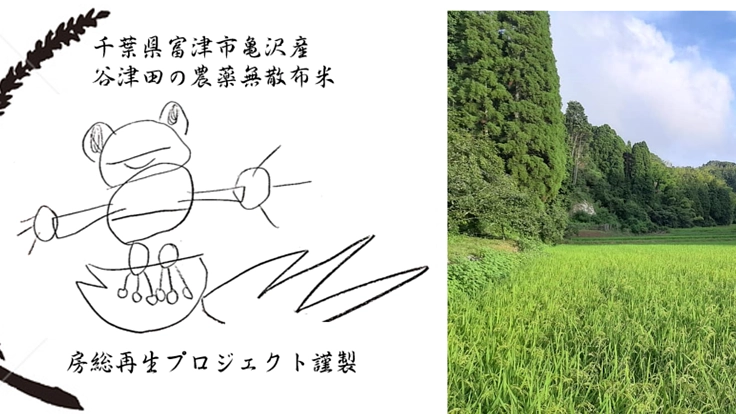 【農薬無散布】房総の里山の保全・生命の多様性を復元する米作り 