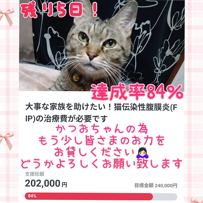 残り5日・達成率84％・目標まで3万8千円です
