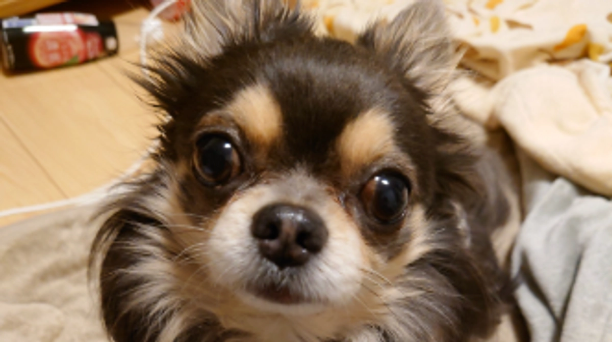 リターン送付させていただきました