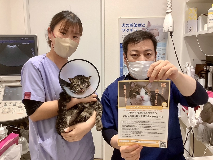 クラファン チラシ 設置してもらってます！