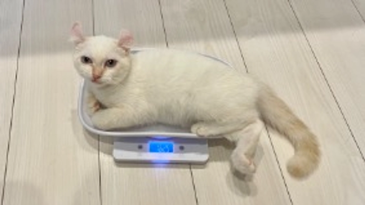 検査に行ってきました🏥