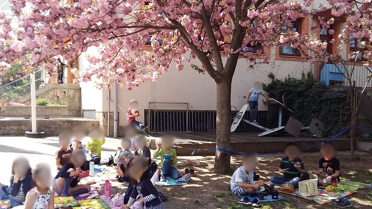 ハンガリーと日本の子どもたちを見守る桜の木をよみがえらせたい