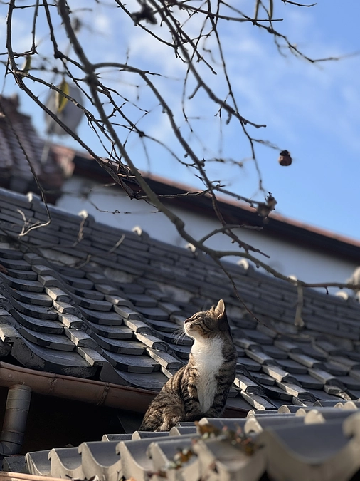 支援金到達のご報告