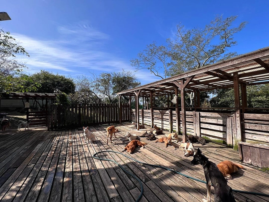 【あと3日！最終ゴールをめざして】KDP菊池から応援してくださる皆様へ、感謝の映像です！