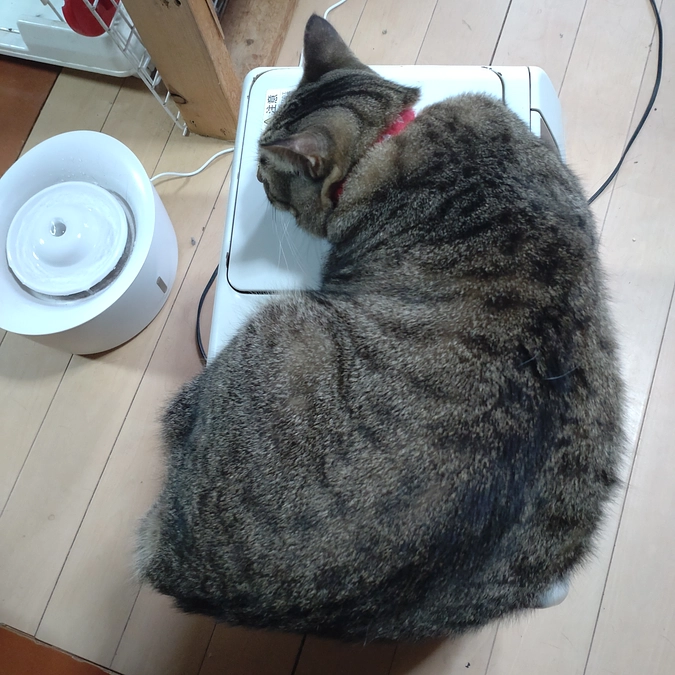 温かいのは分かるけど~😅