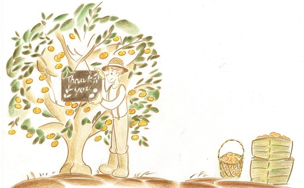 みかんオーナー権（1,000,000円）