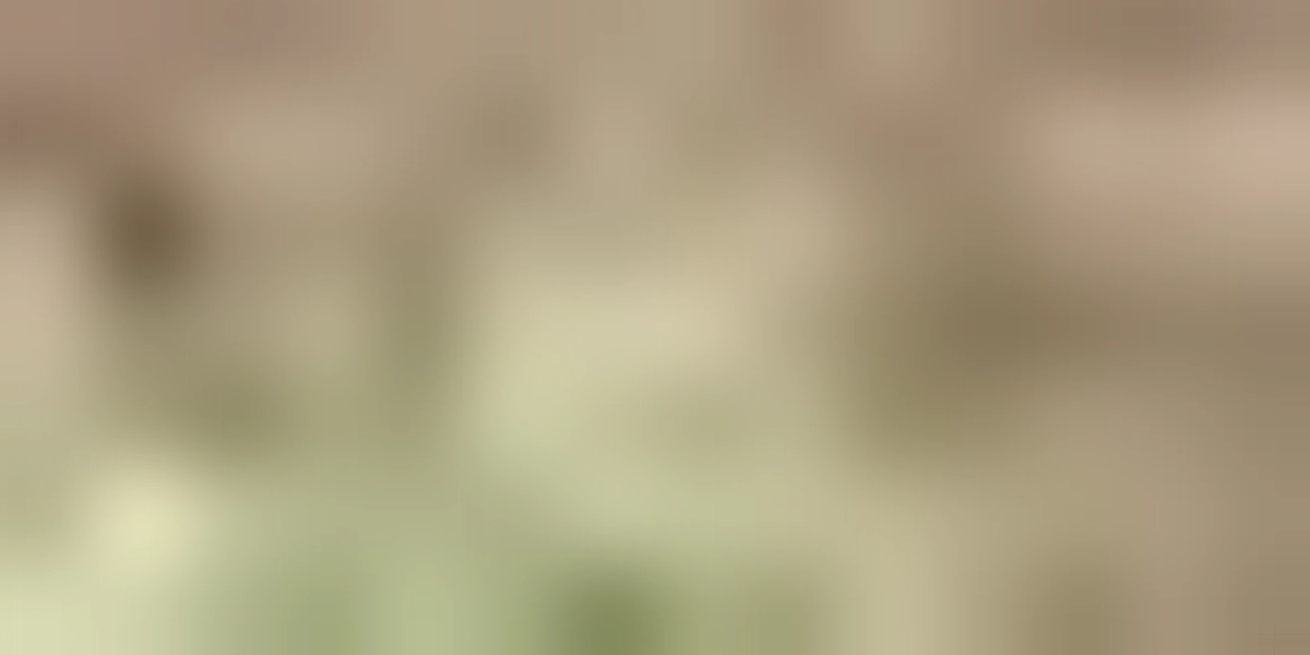 久々に朝の公園に行って来ました。11月2日