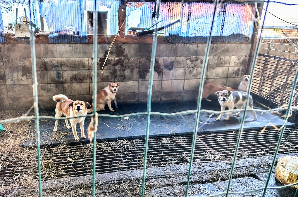 床用のゴムマットを敷きました！