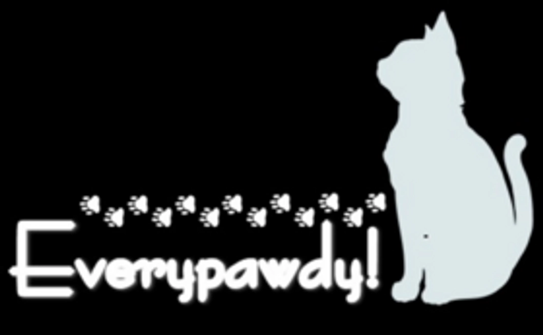 お気持ちコース