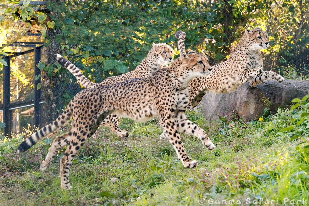 3月10日(月) 返礼品オフィシャルフォトブックの制作及びお届け遅延のお詫び