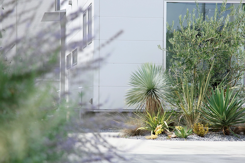 ＼開始8日目のご報告＆母の命日／