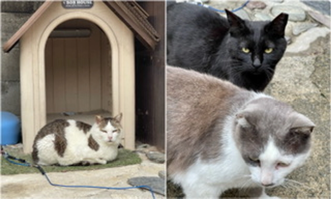 みんな元気❤️