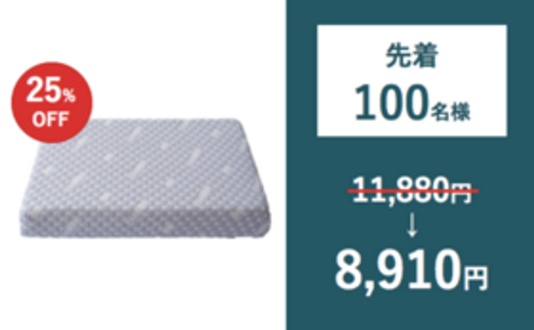 【Readyfor限定価格】先着100名様・超超早割25%OFF！Zigzagピロー×1個