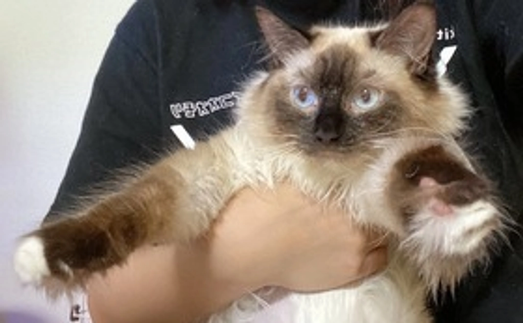 感謝のメッセージ♬写真♪