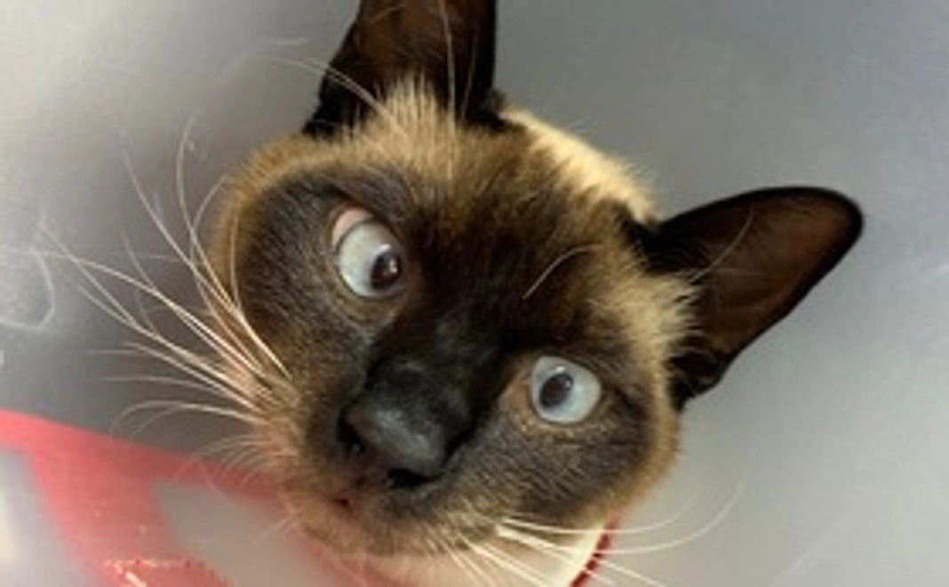 ◎感謝のメール1