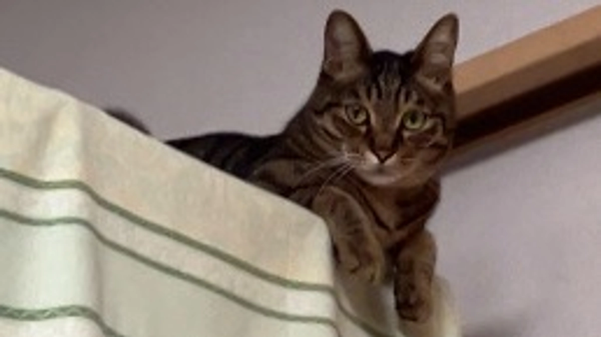 インスタライブ