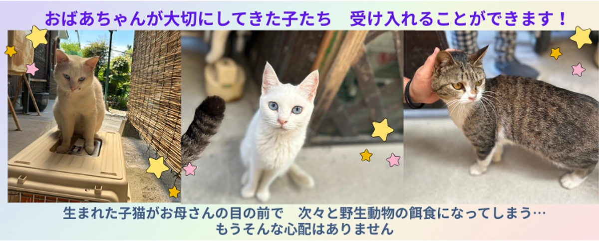 ※応援ありがとうございました※