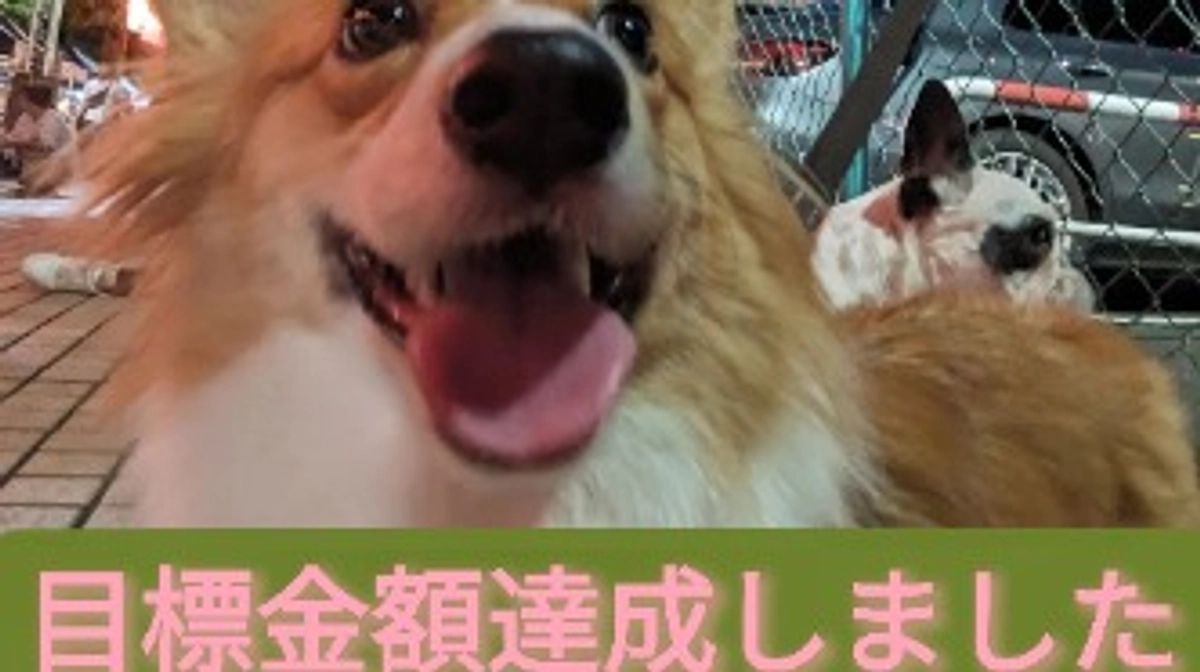 目標金額達成できました🥺✨