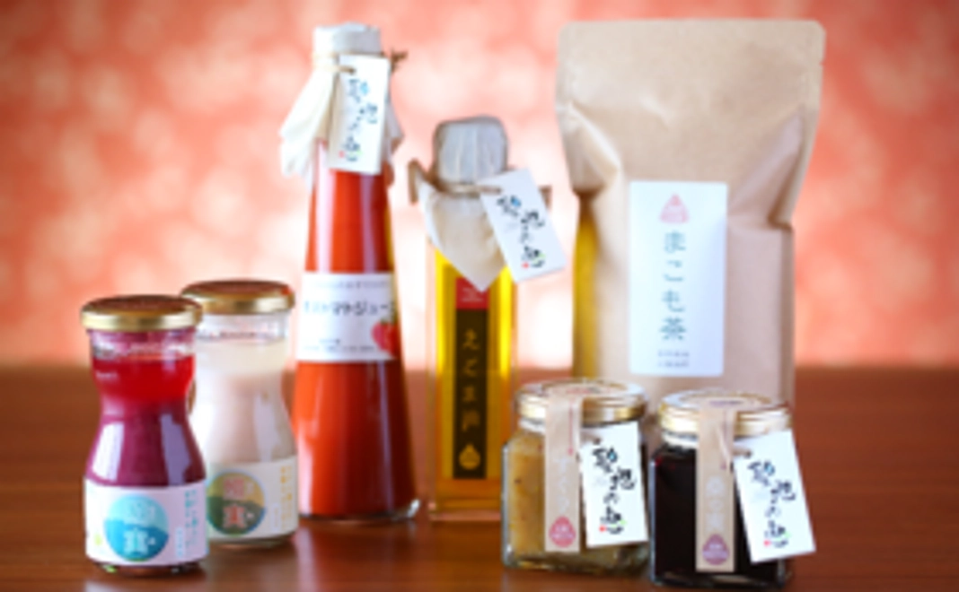 【メインコース】しっかり応援プラン！