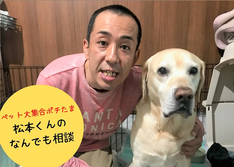 ポチたま松本くんのリターンが追加になりました