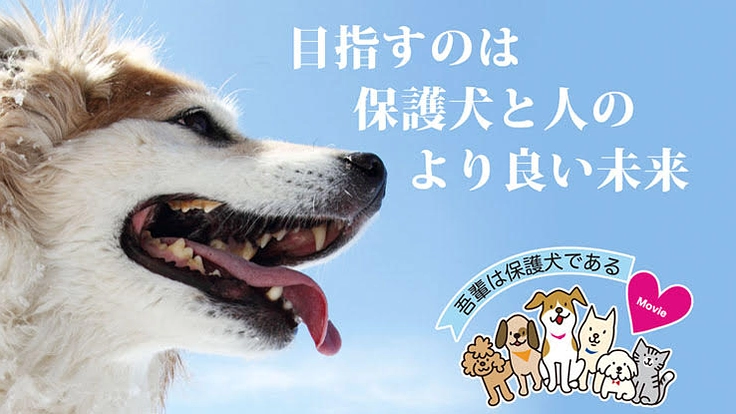 映画『吾輩は保護犬である』完成！映像の力で命の尊さを全国に伝えたい