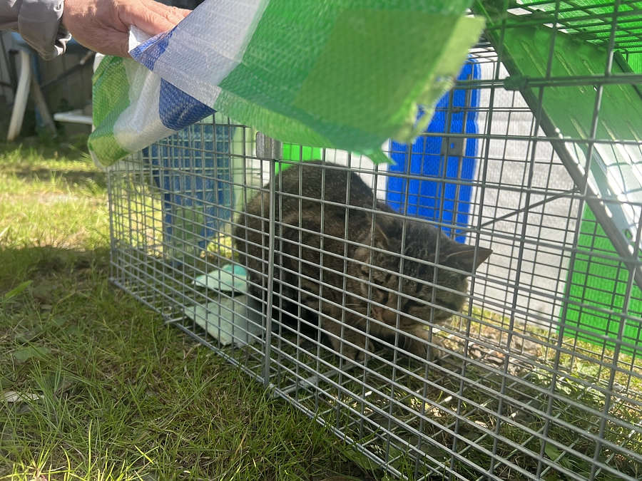 皆様からのご支援が振り込まれました