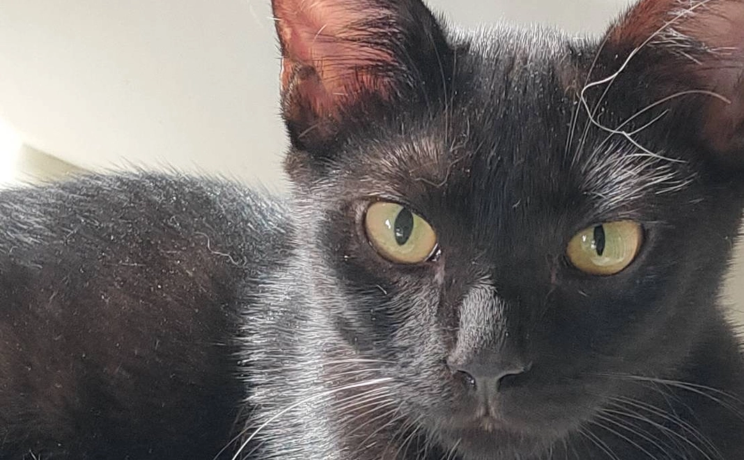 感謝のメール100000