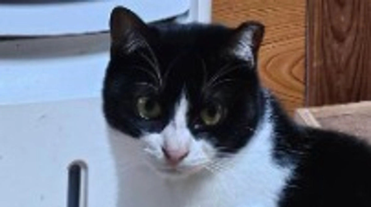 大晦日！今年一年、お世話になりました！