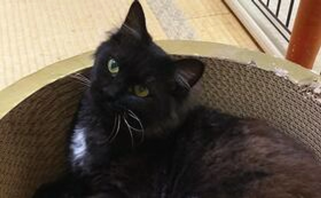 ご支援よろしくお願いします！