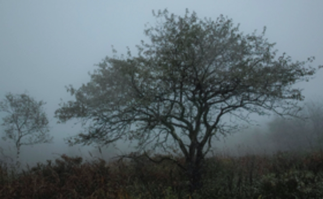 プレミアムフォトセット