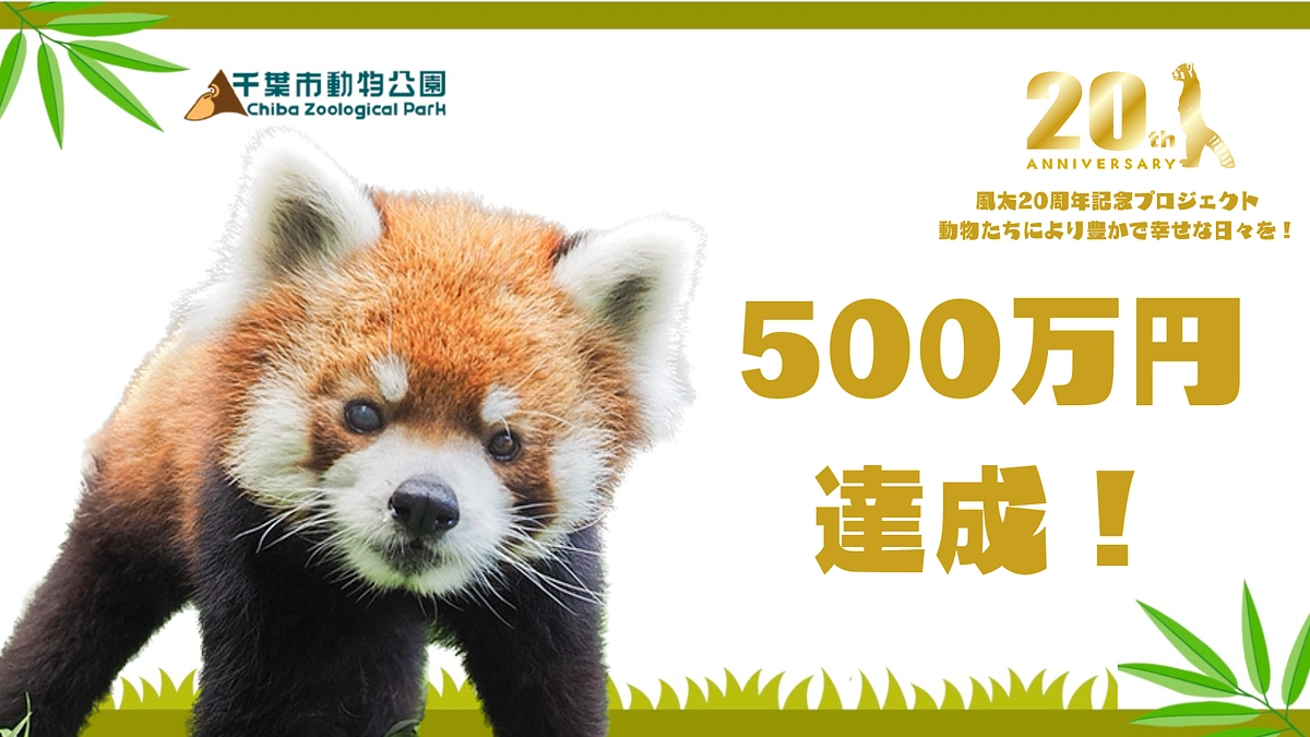 第一目標達成！ネクストゴールを目指して