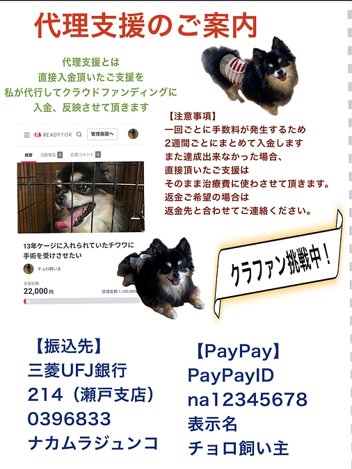 代理支援開始&明日手術です