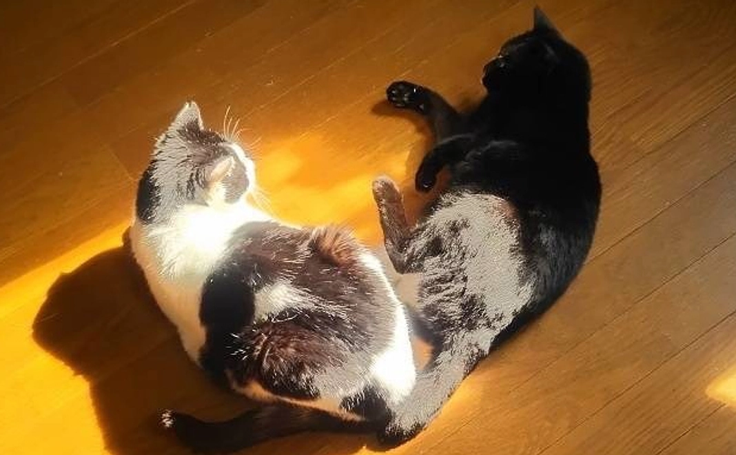 感謝のメール5000