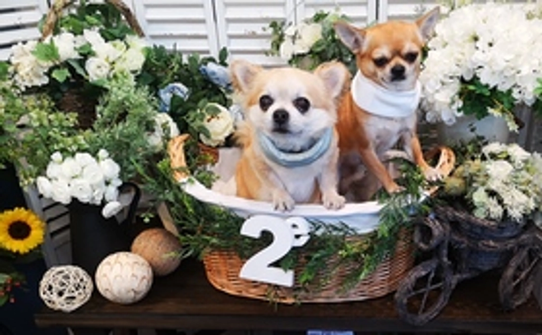 善意のバトンを繋ぎます②