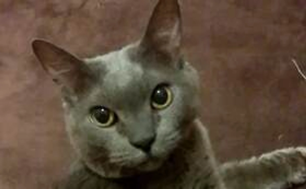 健康で長生きの一歩