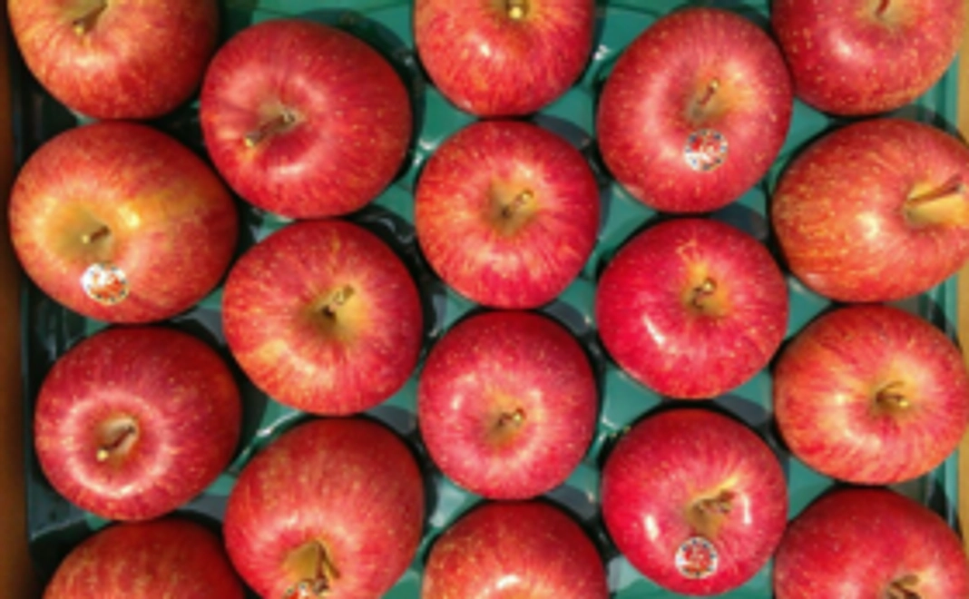 【贈答用・約5㎏】サンふじをお届けします！