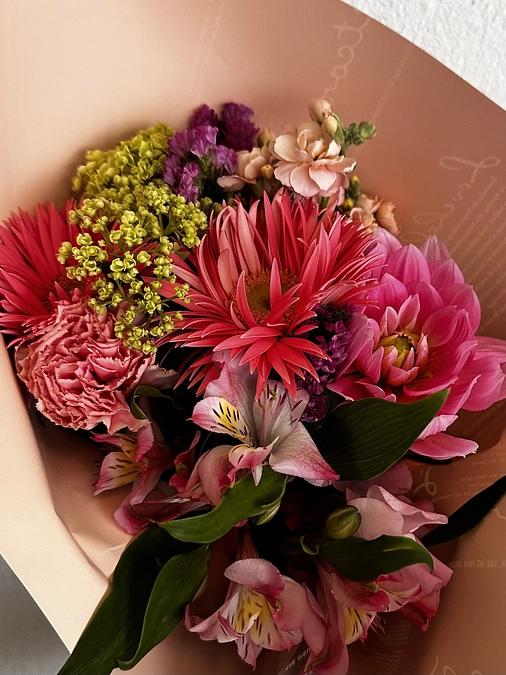 クラファン48日目