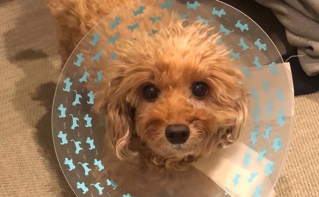 リターン不要の方　じじ