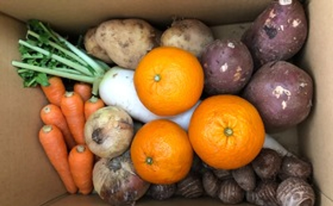 5,000円お野菜プラン