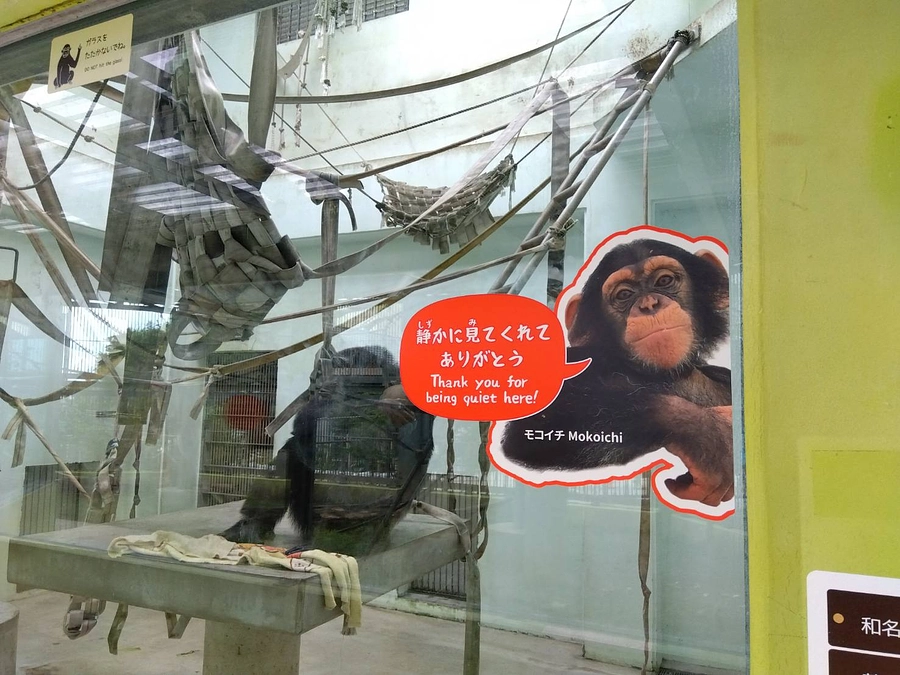 動物園の広報のお仕事って？vol.1