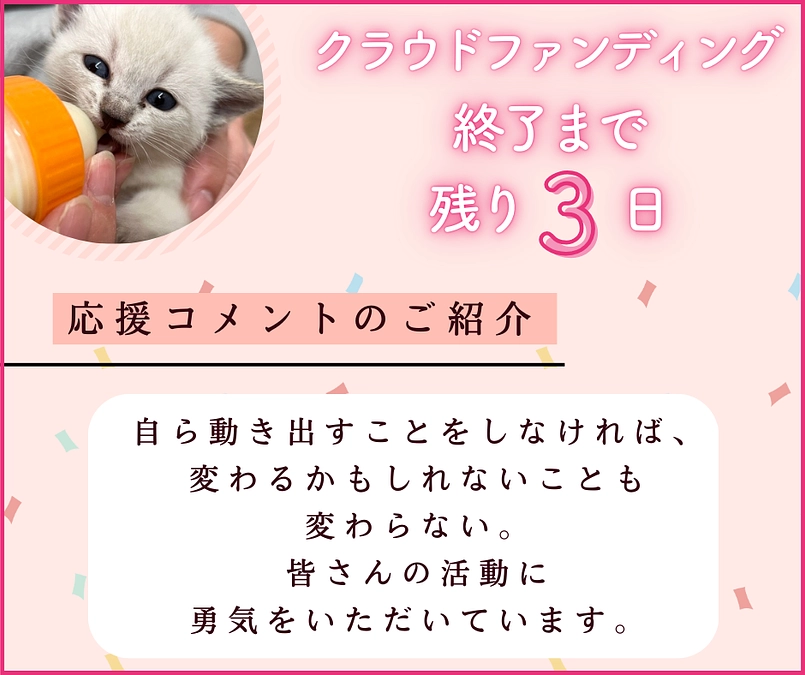 残り３日で募集が終了します！