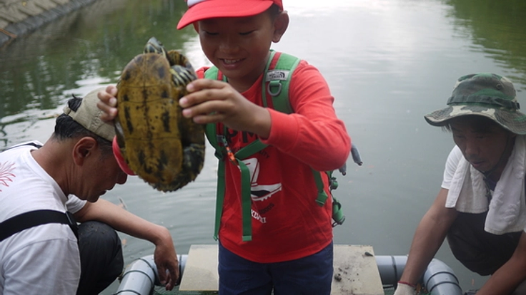 佐鳴湖のアカミミガメをとって食べる！外来種を駆除→有効活用！